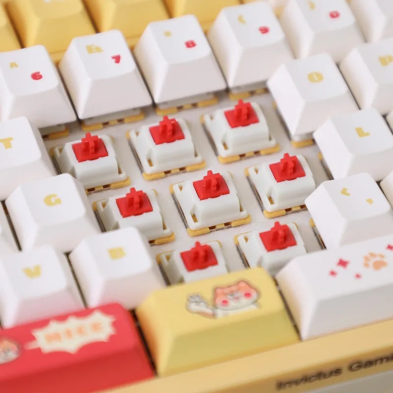 Gateron Mini i Switch