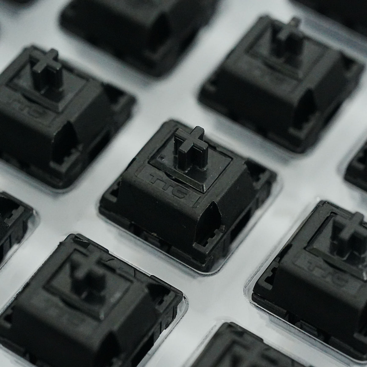 TTC × PantheonKeys PT Black