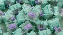 WS Dash HE Switch - 70pcs