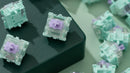 WS Dash HE Switch - 70pcs