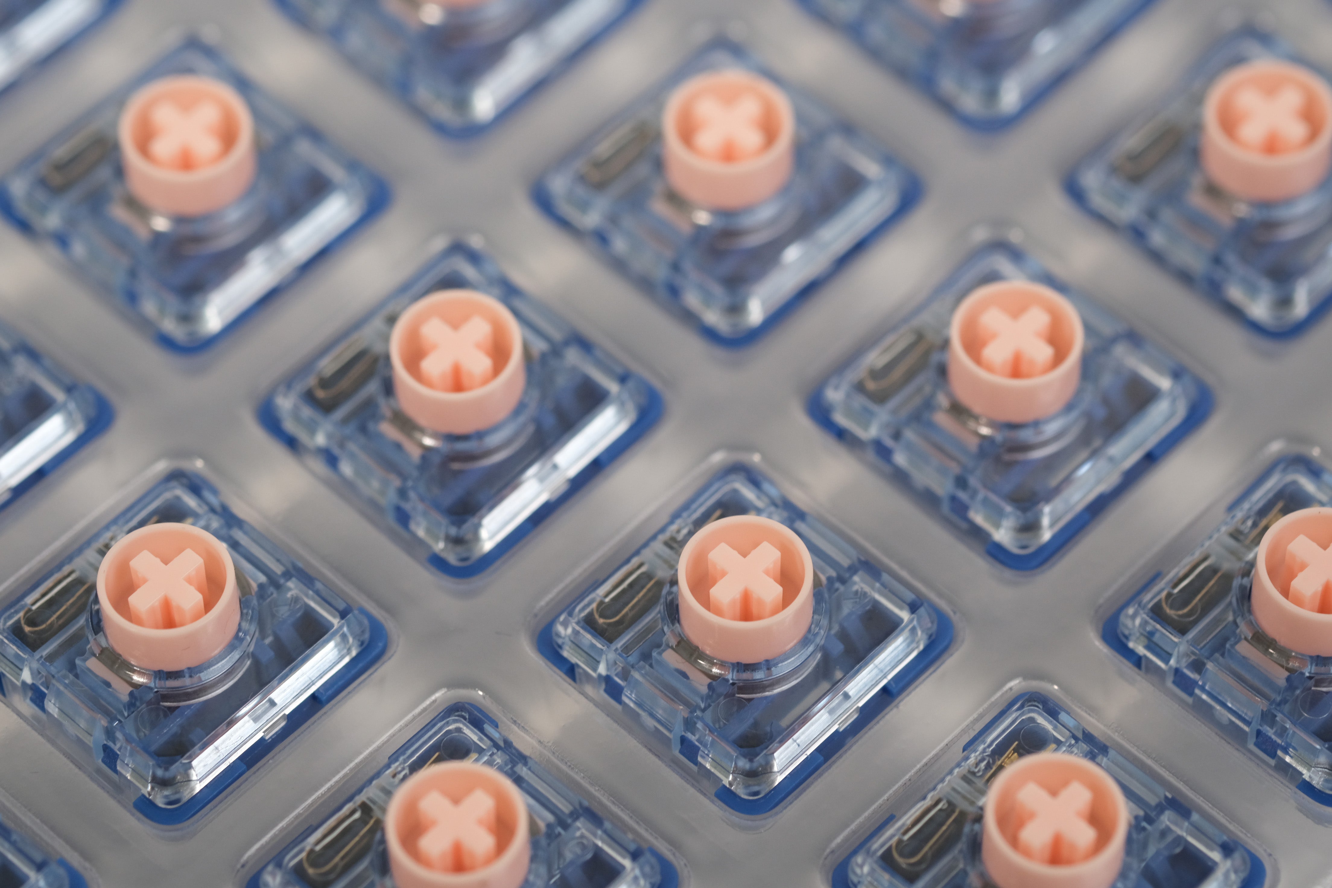 DSCF9218_60cef00d-b9dc-484b-