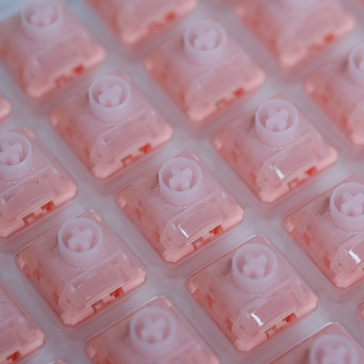 WS BigLucky Switch / Clicky