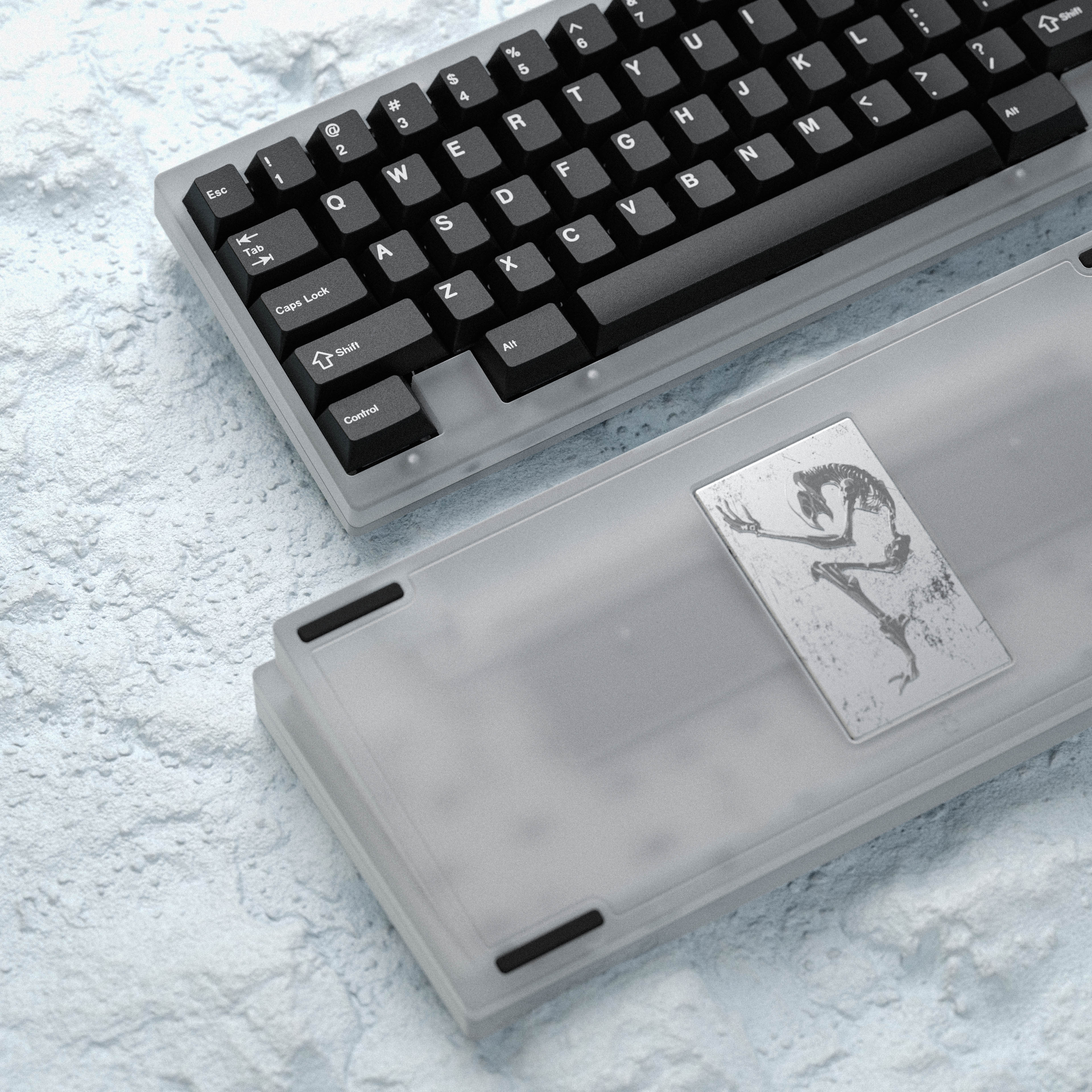 GB] Gehirn60