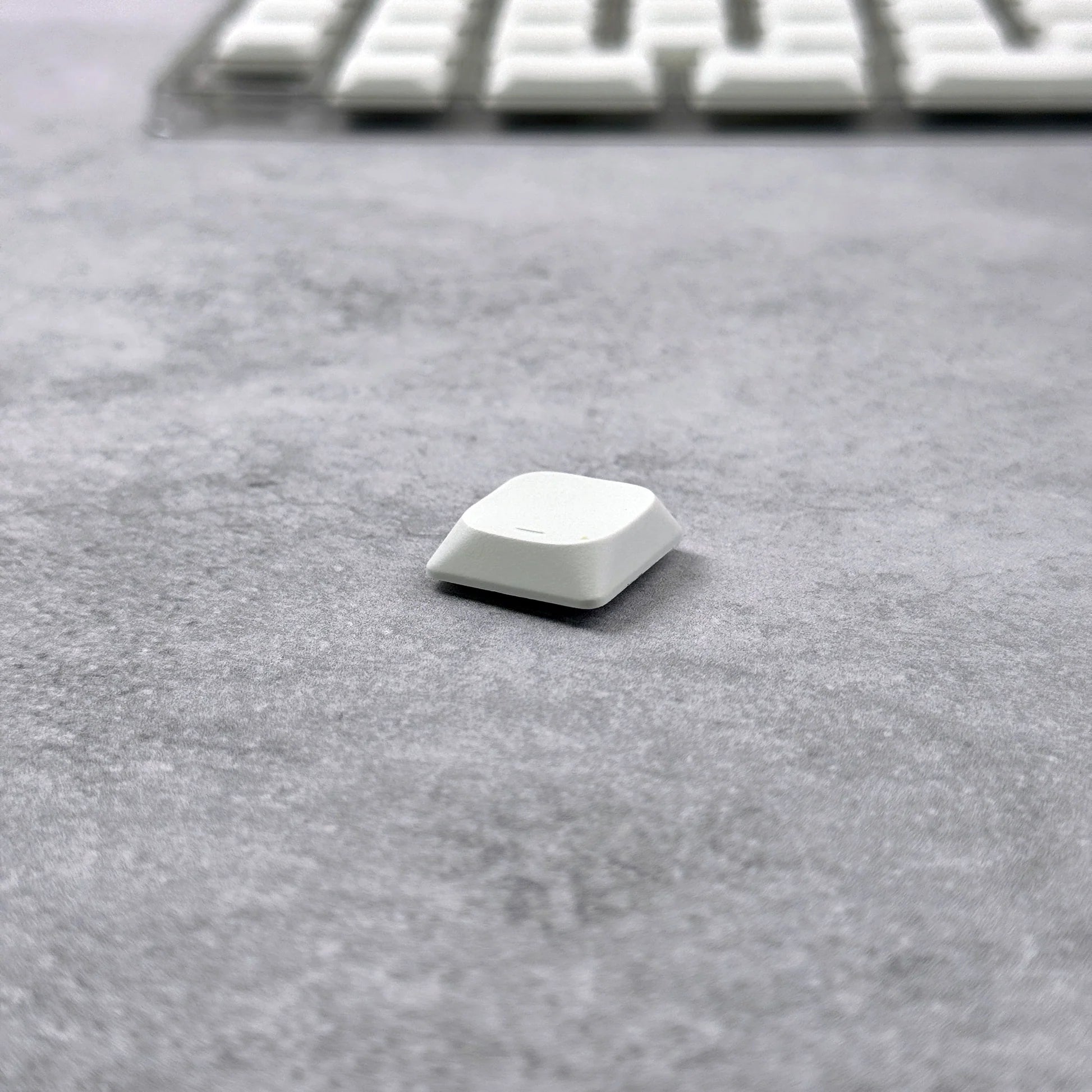 IMG_1485_056b54f5-0c98-407c-