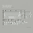 PBTfans X-Ray