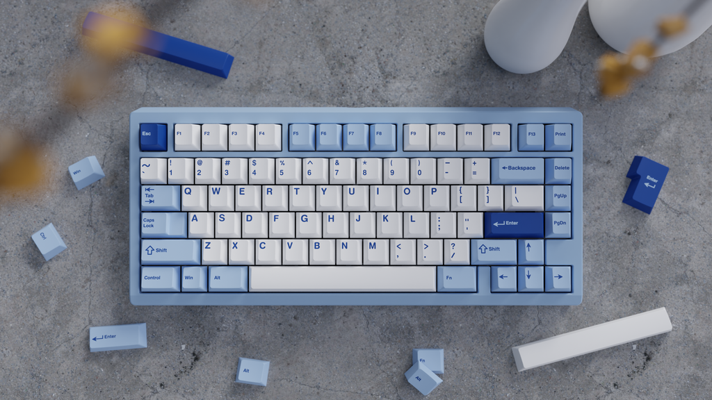 Extra] WS PBT Blue Oasis