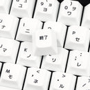 EnjoyPBT ModernJA