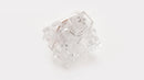 WS Switch Series - WS Quartz 35pcs