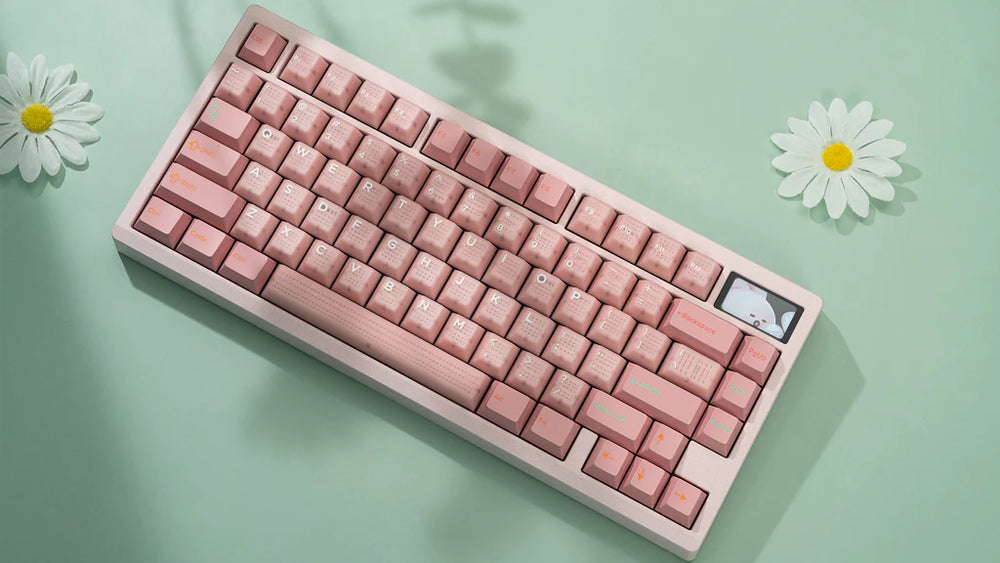 10_1024x1024_68d96106-b6f8-