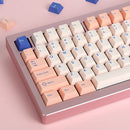 SPM PBT Peach Blue 130Key