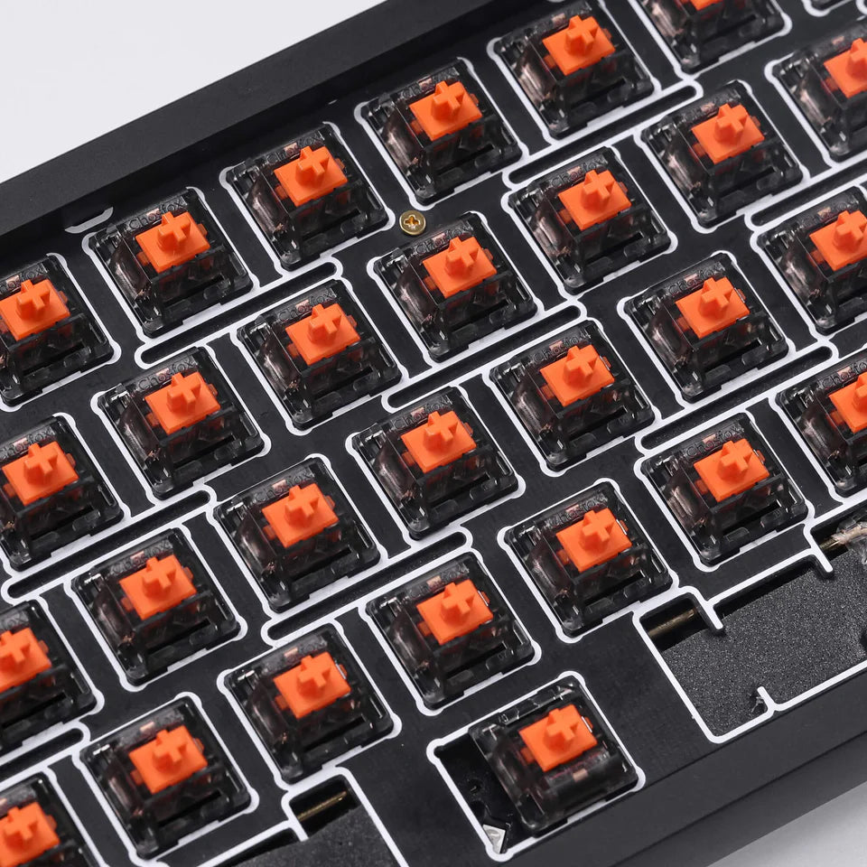 Chosfox X Masro Ragna Linear Switch