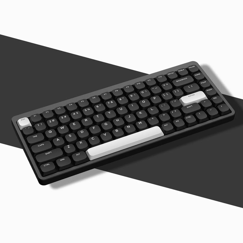 ササキ ロープロ版 roBa オプション XVX Skyline R2 - Low Profile PBT Double-shot Keycap - WOB