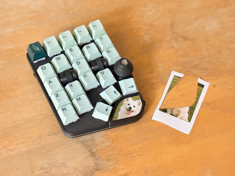 専用 roBa roBa 【トラックボール付きワイヤレス自作キーボードキット】 - kuma