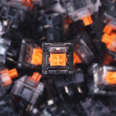 Chosfox X Masro Ragna Linear Switch