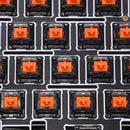 Chosfox X Masro Ragna Linear Switch