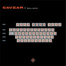 [GB] SWG Salmon