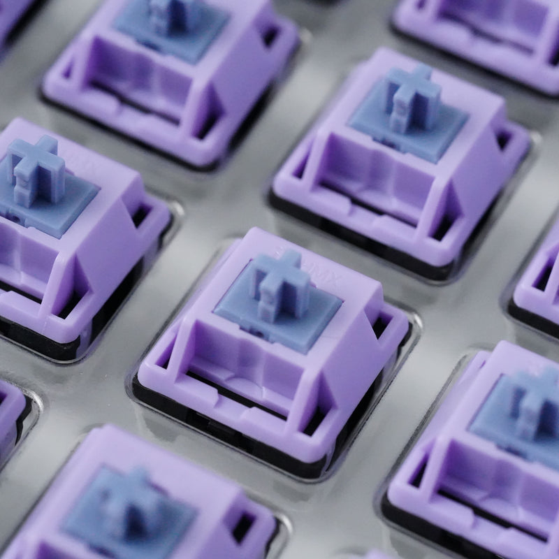 HMX Switches