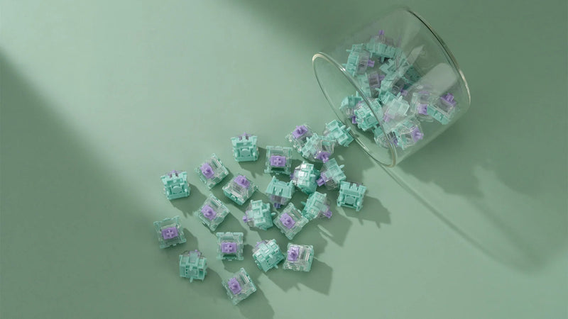 WS Dash HE Switch - 70pcs WS Dash HE Switch - 70pcs