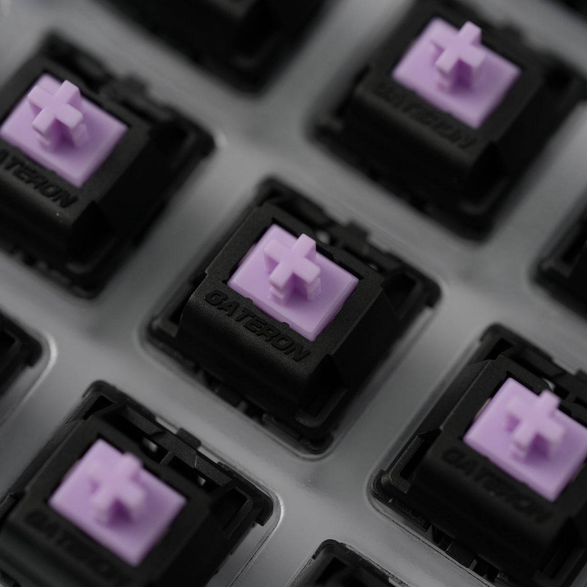 Gateron Oil King Purple