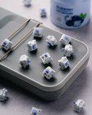 Dangkeebs Blueberry Milk Linear Switches