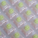 WS BigLucky Switch / Linear