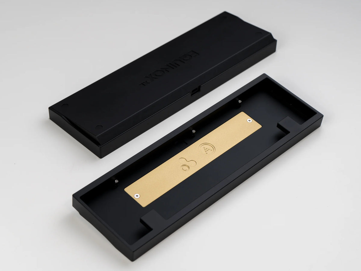 Extra] Ion x ai03 Equinox XL