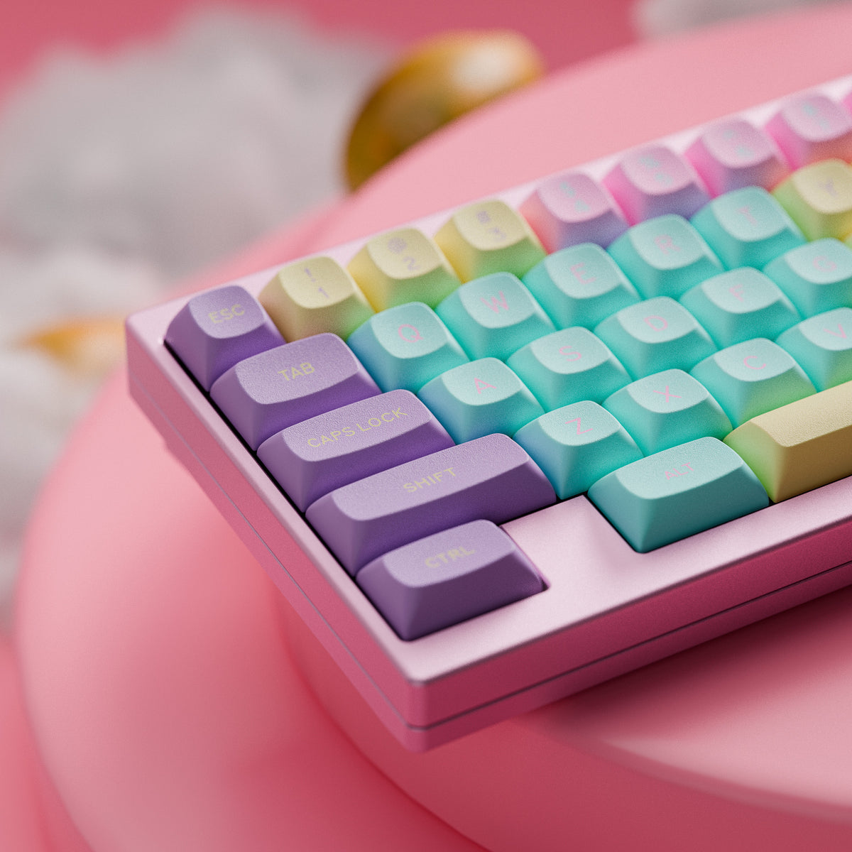 [GB] GMK Divinapapaya