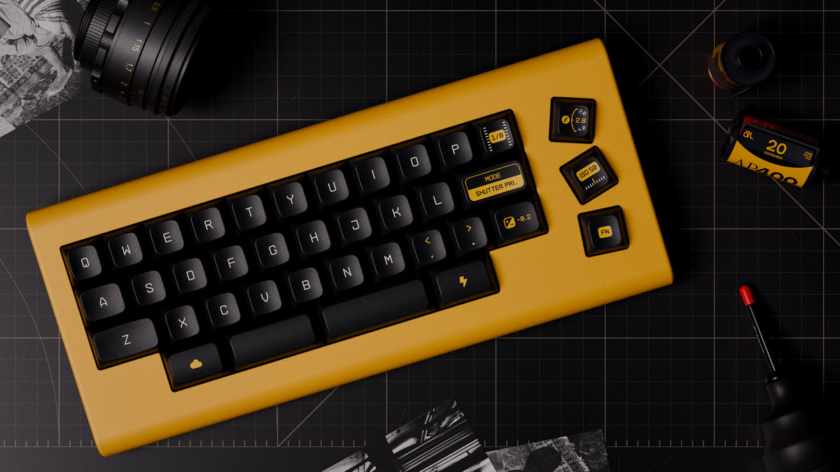 QAZ_Top_Down_1200x.jpg?v=