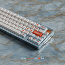[GB] SWG Salmon