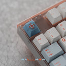 [GB] SWG Salmon