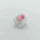 Tecsee Honey Peach Metal Pole Switch / Linear