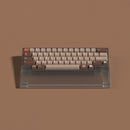 SPM Soulcat Metabolism