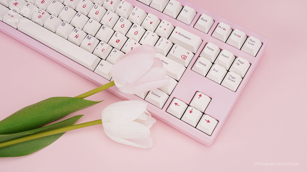 [GB] Zoom TKL Essential Edition - Blush Pink
