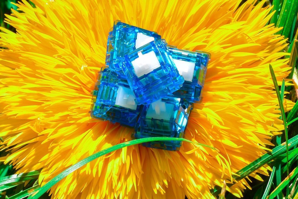 [GB] OA Switch