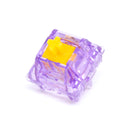 クリアランスセール