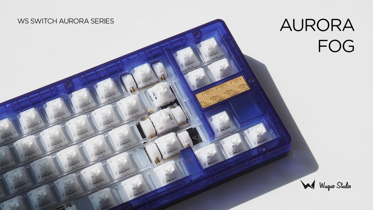 [Pre-order] WS Switches Aurora Series