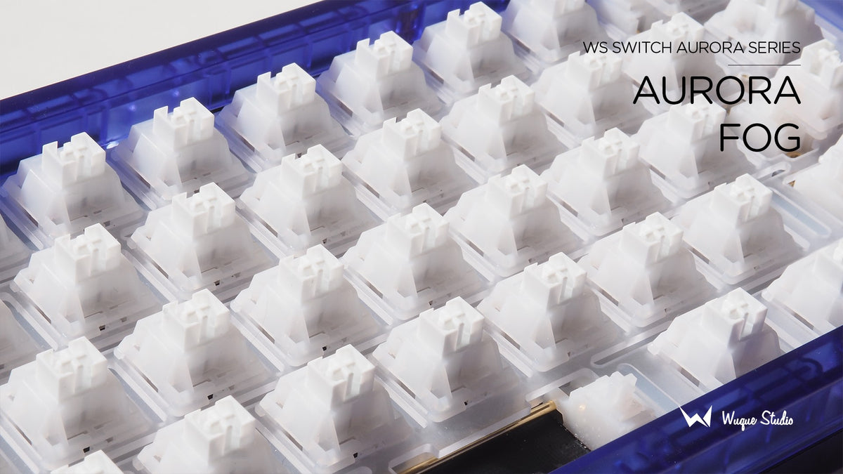 [Pre-order] WS Switches Aurora Series